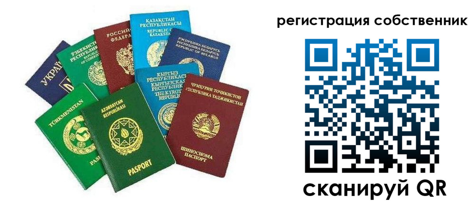 форма 3 в Шахунье